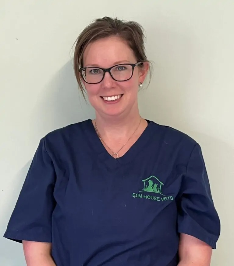 Veterinarian in scrubs smiling